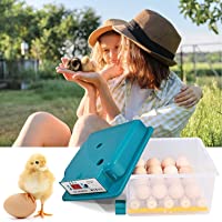 TTLIFE Incubadora de huevos- incubadoras de huevos eléctricas dobles automáticas para 16 huevos- escotillas de aves…